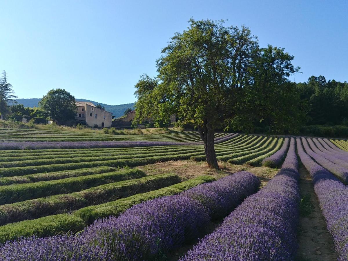 Le Mas Des Lavandes Sault-de-Vaucluse Zewnętrze zdjęcie