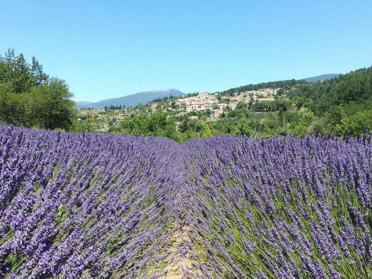Le Mas Des Lavandes Sault-de-Vaucluse Zewnętrze zdjęcie